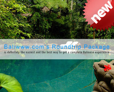 Round Trip Package